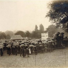 Recruiting meeting in Regent's Park for Lord Kitchener's new British Army in the summer of 1914. | City of Westminster Archive Centre